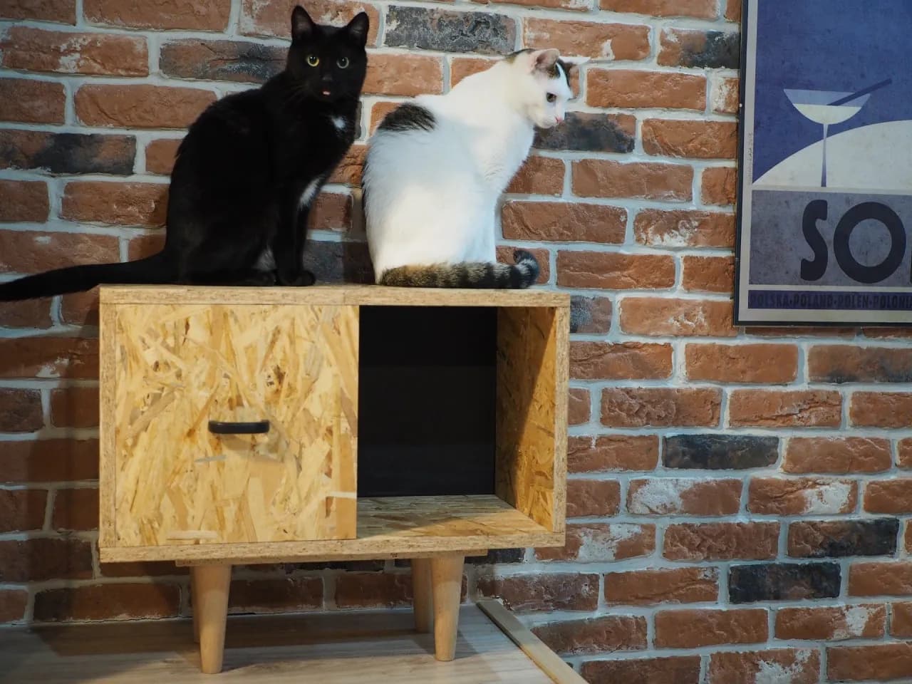 Jak zrobić szafę z płyty OSB - krok po kroku do idealnego mebla Jak zrobić szafę z płyty OSB - krok po kroku do idealnego mebla