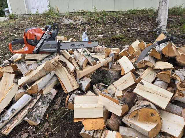 Pilarka STIHL czy Husqvarna – która jest naprawdę lepsza? Pilarka STIHL czy Husqvarna – która jest naprawdę lepsza?